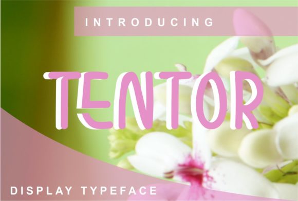 Tentor Font for Handmade Creations and More
